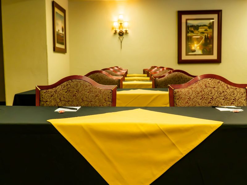 Hotel Piccadilly Directors Room