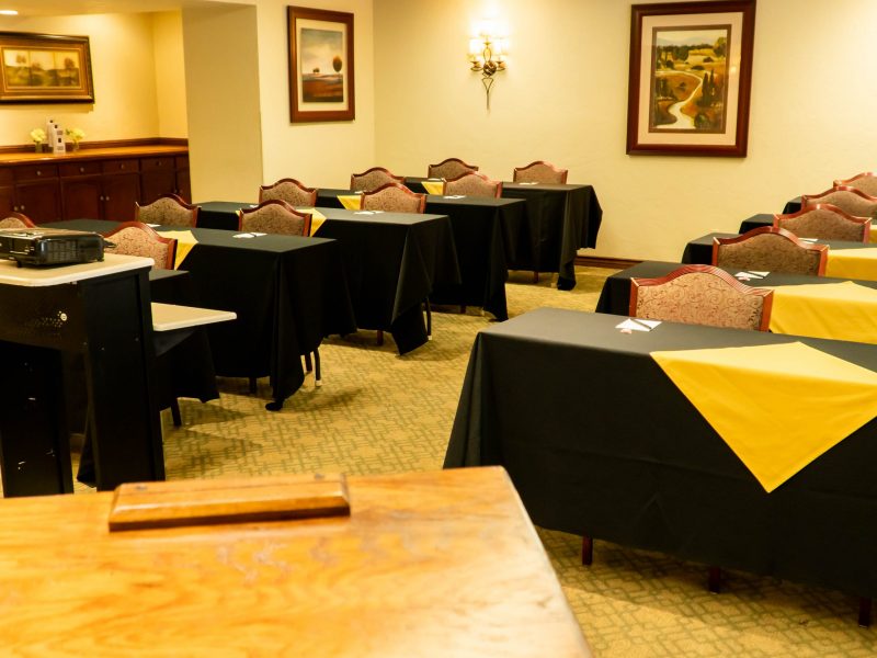 Hotel Piccadilly Directors Room